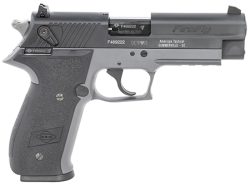 GSG GERG2210FFS FireFly  22 LR 10+1 4" Black Serrated Slide, Smoke Zinc Alloy w/Accessory Rail Frame, Black Polymer Grip