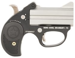 Bond Arms BAST Stinger  22 LR 2rd, 3" Double Matte Stainless Steel Barrel, Anodized Aluminum Frame, Black Nylon Grip, Rebounding Hammer, Crossbolt Safety