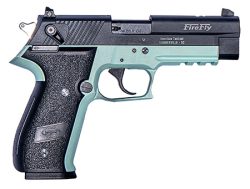 GSG GERG2210FFM FireFly  22 LR 10+1 4" Black Serrated Slide, Mint Zinc Alloy w/Accessory Rail Frame, Black Polymer Grip