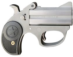 Bond Arms BASRS Stinger  22 LR 2rd, 3" Double Rough Matte Stainless Steel Barrel & Frame, Black Nylon Grip,