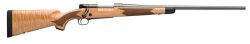 WRA 70 SG 308 BA RFL B MAPLE